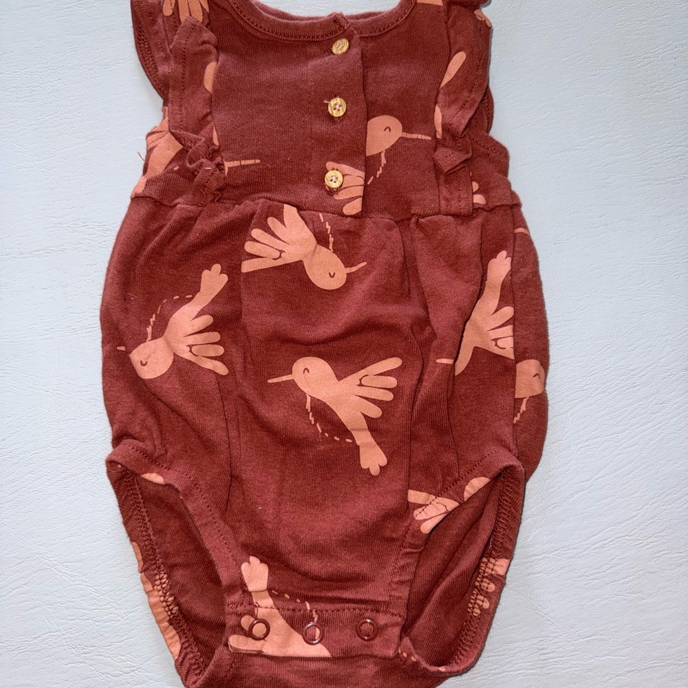 Carter's hummingbird romper